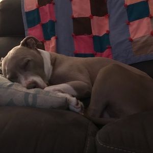 Meet your Posher, Payge